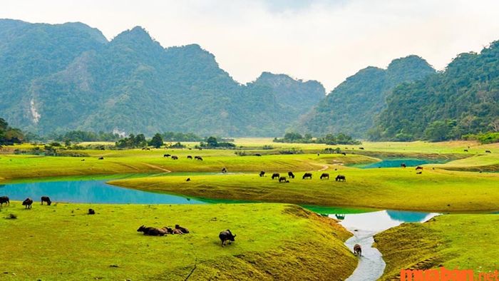 Thời điểm lý tưởng để khám phá Hữu Lũng