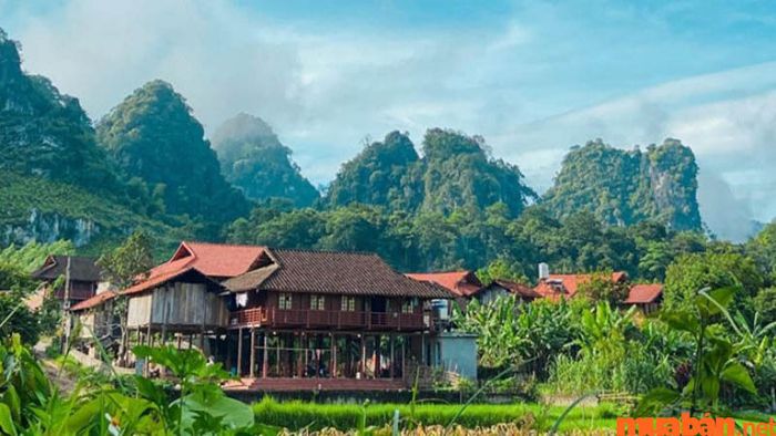 Homestay