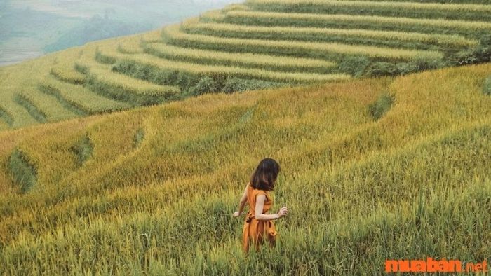 bí quyết du lịch Bình Liêu