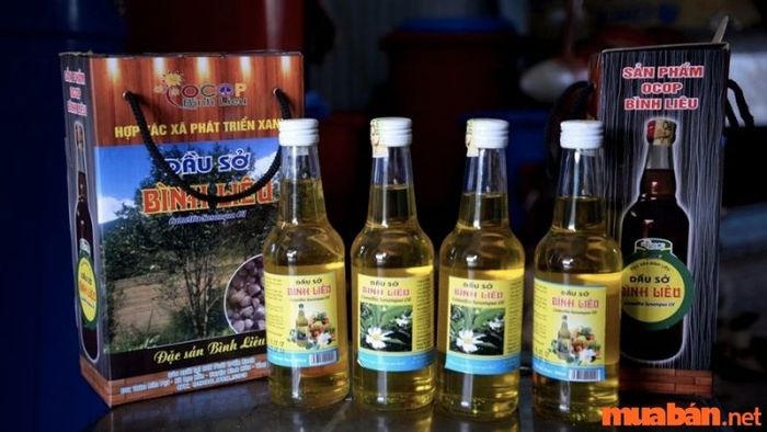 kinh nghiệm du lịch bình liêu