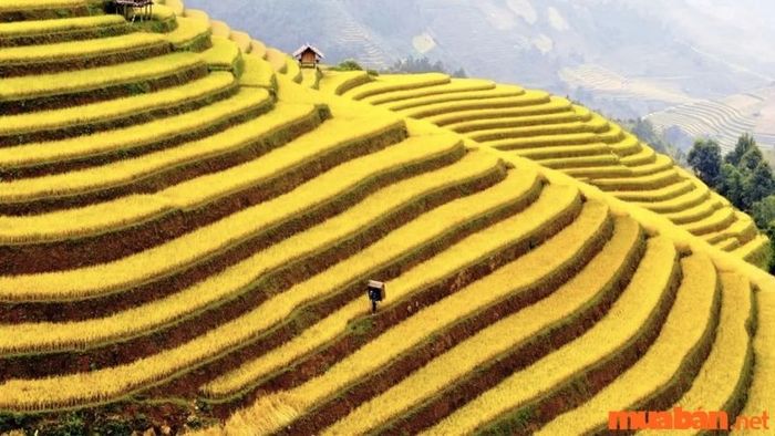 kinh nghiệm du lịch bình liêu