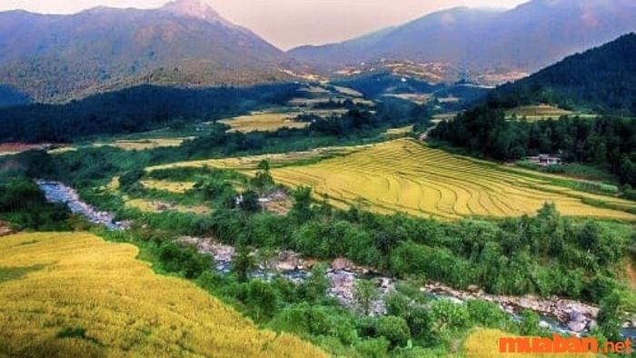 kinh nghiệm du lịch bình liêu