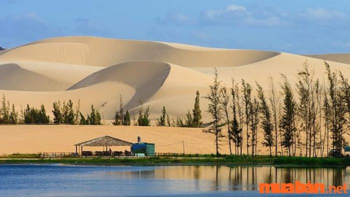 Phan Thiết có gì chơi?- Ghé thăm Đồi cát Bàu Trắng
