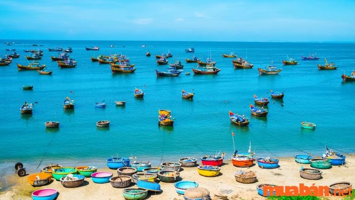 Nếu bạn còn băn khoăn Phan Thiết có gì thú vị thì hãy ghé thăm làng chài Mũi Né!
