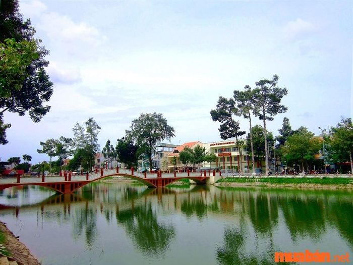 Long Xuyên có gì hấp dẫn? Thưởng thức không gian trong lành tại hồ Nguyễn Du