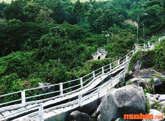 Long Xuyên có gì chơi? Tránh xa khói bụi tại đồi Tức Dụp Long Xuyên