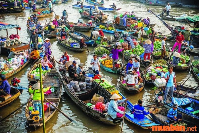 Long Xuyên có gì chơi? Khám phá văn hóa sông nước tại chợ nổi Long Xuyên