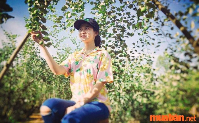 Long Xuyên có gì thú vị? Vườn táo hồng đang rất được yêu thích trong giới trẻ