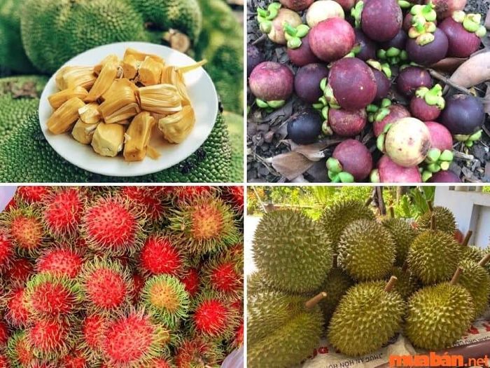 Đặc sản Đồng Nai bao gồm nhiều loại trái cây tươi ngon.