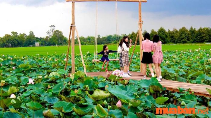 Khu du lịch sinh thái Đồng Sen Tháp Mười