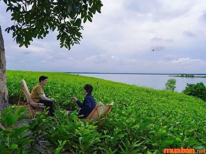 Hồ Trị An