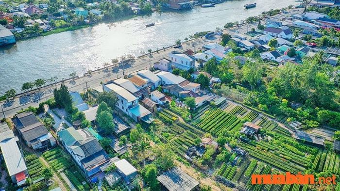 Một góc nhìn ở tỉnh Đồng Tháp