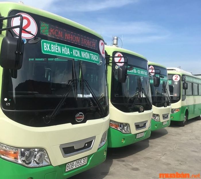 Xe bus ở Đồng Nai rất đa dạng và phong phú.