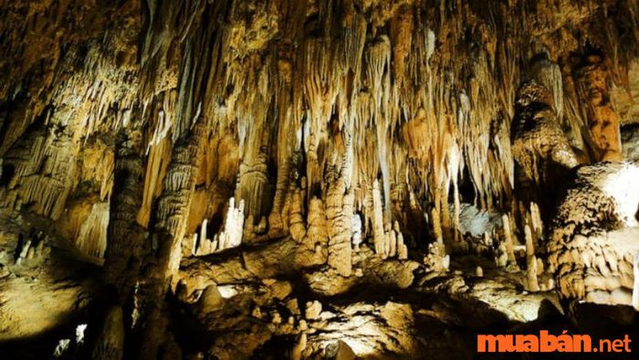 Kiên Giang có gì thú vị? - Thạch Động