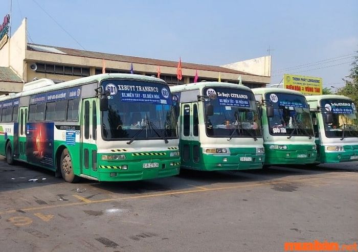Xe buýt cũng là một phương tiện thú vị để bạn khám phá Đồng Nai.