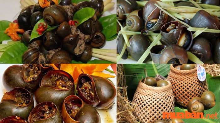 Các món ăn từ Ốc treo giàn bếp