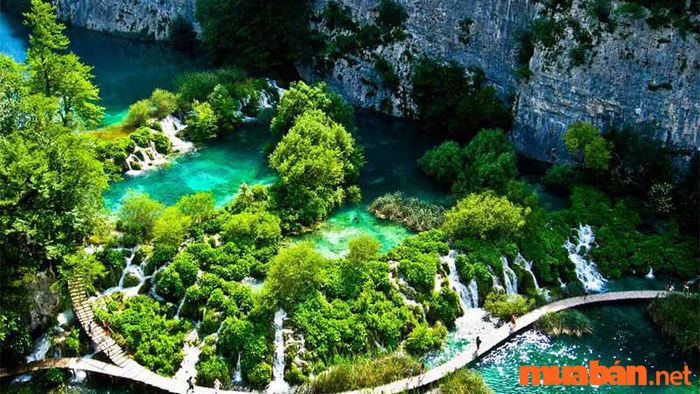 Kiên Giang có gì thú vị? – Vườn quốc gia Phú Quốc