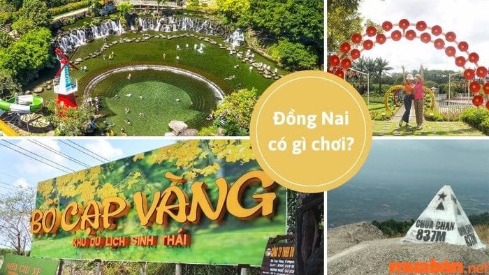 Đồng Nai có gì thú vị? Điểm danh 21+ địa điểm check-in hot trend tại Đồng Nai