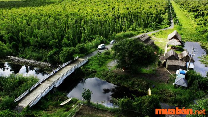 Kiên Giang có gì thú vị? - Vườn Quốc gia U Minh Thượng