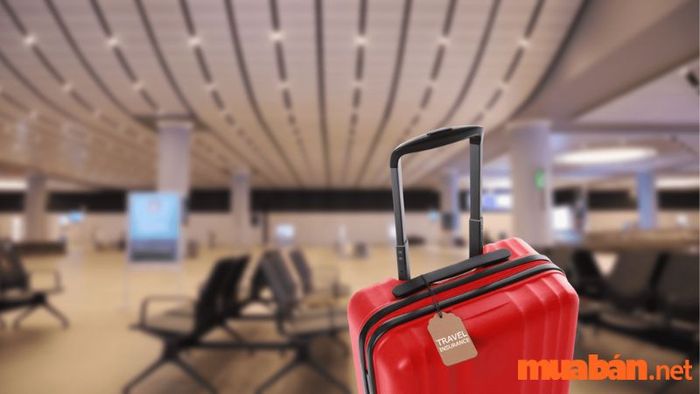 Chuẩn bị hành lý trước khi đến Đồng Tháp