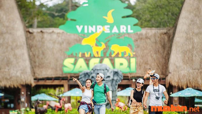 Kiên Giang có gì thú vị? - Công viên Vinpearl Safari Phú Quốc