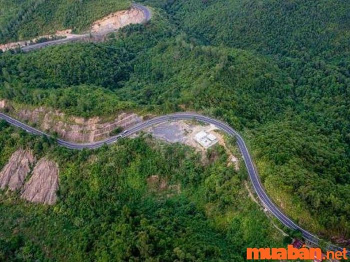 Hãy lựa chọn phương tiện phù hợp để đến khám phá Đà Lạt.