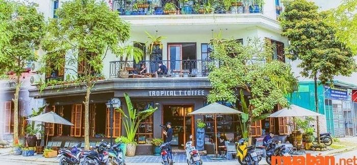 Tropical T Coffee là một địa điểm lý tưởng để khám phá Hà Đông có gì thú vị.