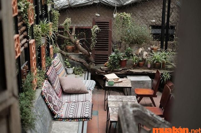 Nếu bạn đang tìm quán cà phê có không gian mở, hãy ghé X3+ Café thử nhé!