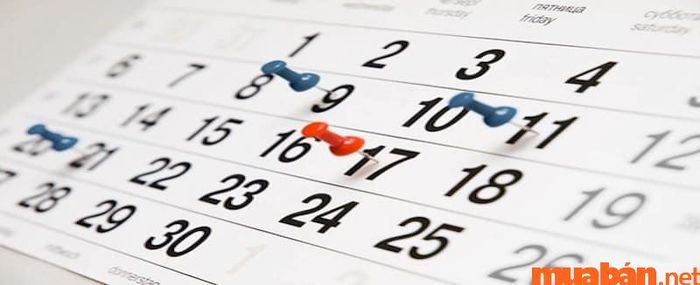 Khi khám phá Hà Đông có gì thú vị, bạn cần lưu ý thời gian để đặt lịch cho phù hợp.