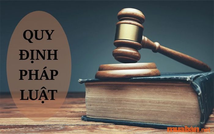 Các quy định của pháp luật về quyền lợi xin nghỉ không lương của người lao động.