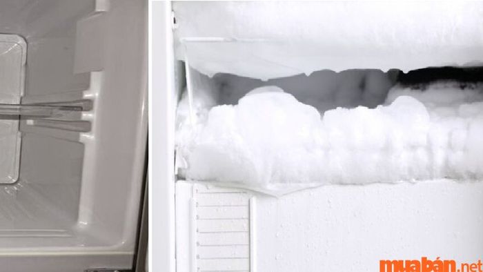Có vấn đề với bộ xả đá của tủ lạnh