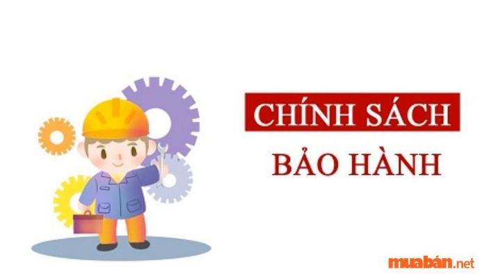Chính sách bảo hành và dịch vụ hậu mãi