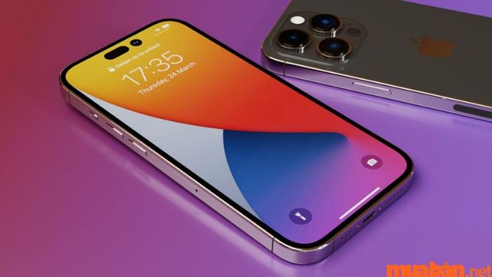 Dự kiến màn hình của iPhone 15 sẽ như thế nào.