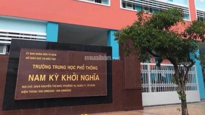 quận 11 tiếp giáp với quận nào