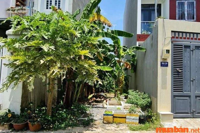 Căn cứ vào hoàn cảnh thực tế và ngân sách để quyết định xem có nên mua đất lọt khe hay không.