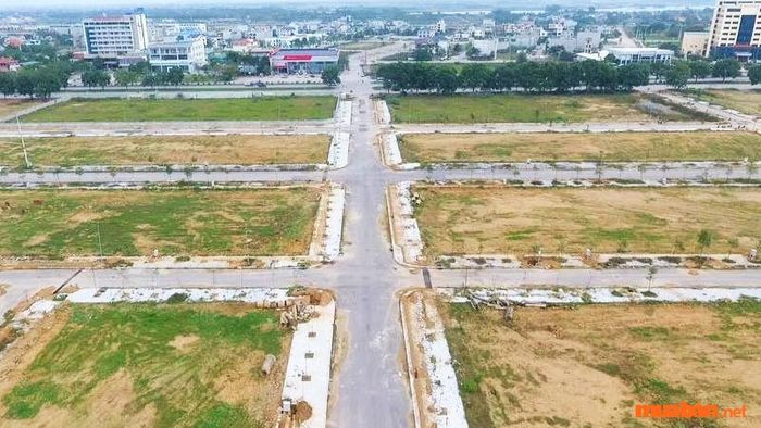 Đất đấu giá là các khu đất mà UBND có thẩm quyền tổ chức đấu giá công khai.