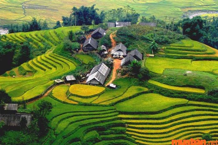 Bản Lao Chải mang đến cảnh sắc thiên nhiên tuyệt đẹp