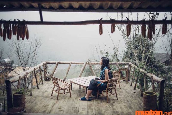 Phori’s House là nơi mang đến không gian sống giản dị và gần gũi với thiên nhiên.