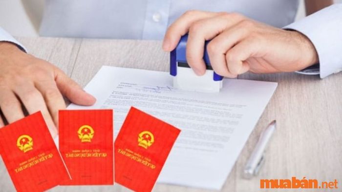 Thủ tục để xin cấp sổ đỏ cho đất đấu giá
