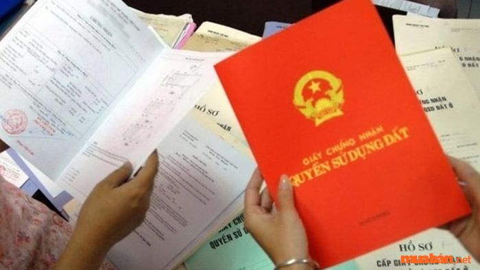 Người trúng thầu đất đấu giá sẽ được cấp sổ đỏ sau khi giao dịch hoàn tất.