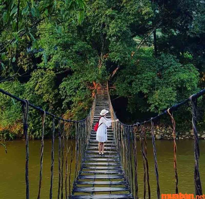 Cầu Mây là địa điểm không thể thiếu trong danh sách check-in khi bạn đến bản Tả Van.