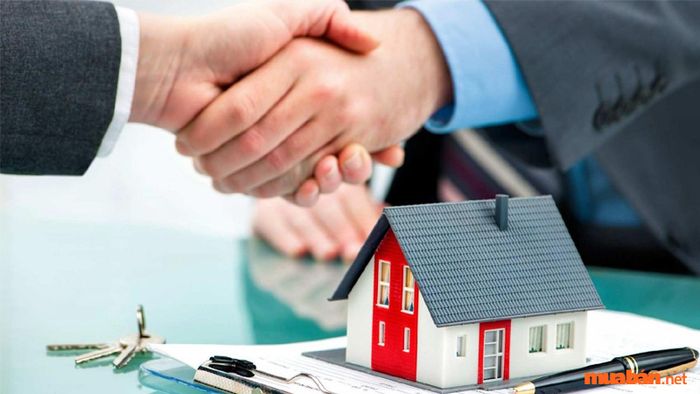 Đất đấu giá có khả năng chuyển nhượng nếu đáp ứng đủ các điều kiện