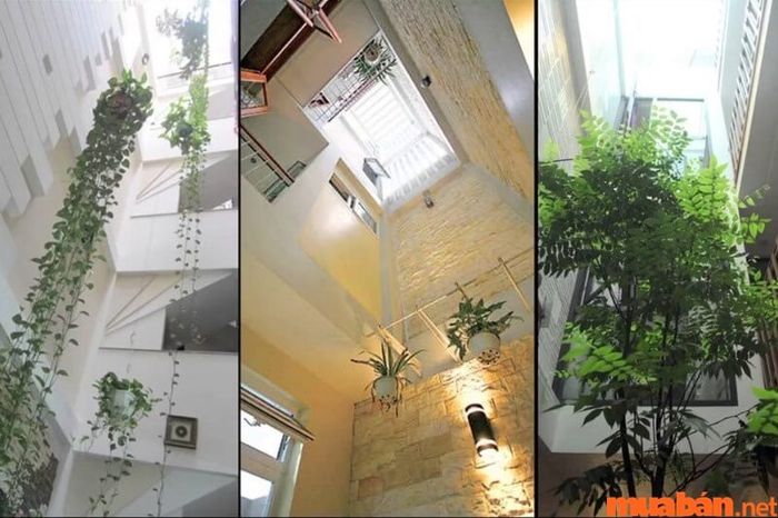 Khó khăn trong việc đón gió và ánh sáng tự nhiên, vì vậy cần thiết kế giếng trời.