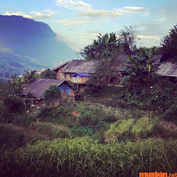 Khi du lịch tại bản Lao Chải Tả Van, hãy tôn trọng văn hóa của người dân địa phương.