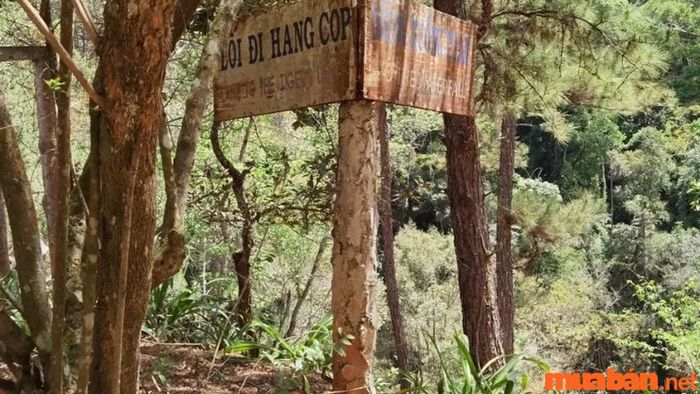 Chỉ dẫn đường đến thác Hang Cọp