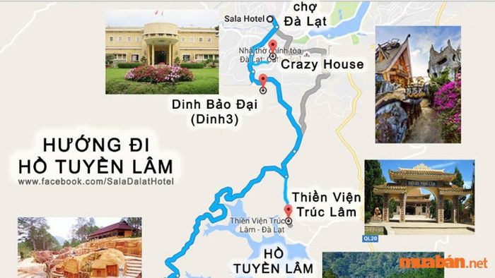 Biệt thự Hằng Nga Đà Lạt tọa lạc tại số 3 đường Huỳnh Thúc Kháng, phường 4, thành phố Đà Lạt.