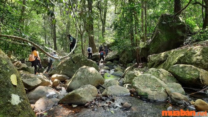 Trekking xuyên rừng để chinh phục thác nước