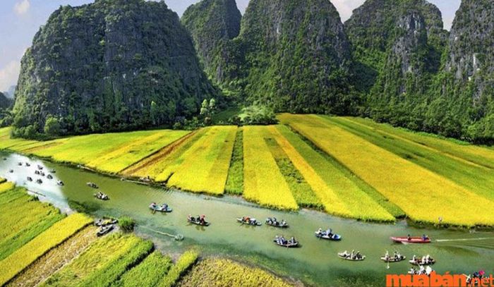 Tháng 11 nên đi du lịch ở đâu - Ninh Bình nên thơ