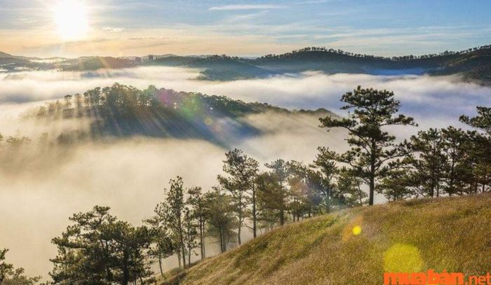 Tháng 11 nên đi du lịch ở đâu - Đà Lạt chưa bao giờ làm du khách thất vọng