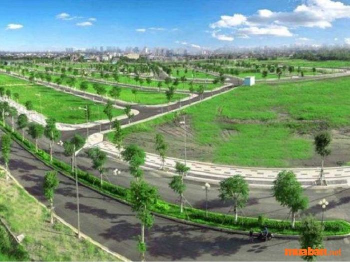 Nghiên cứu kỹ lưỡng thông tin về chủ đầu tư